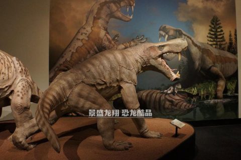 怪兽模型