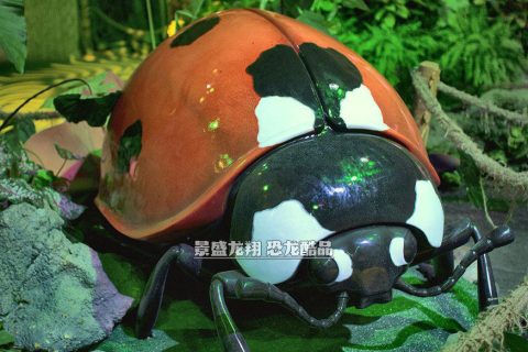 大型昆虫展品