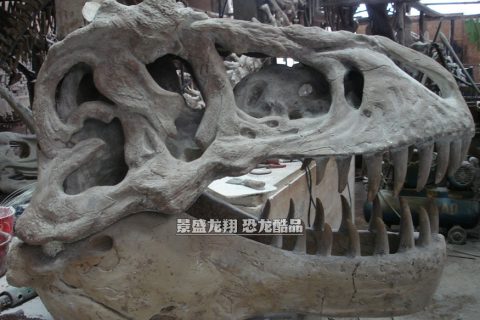制造的仿真恐龙头骨展品