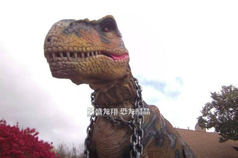 个性化的恐龙服
