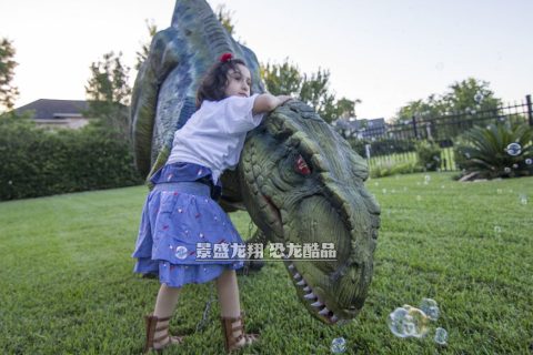 人气恐龙皮套演艺