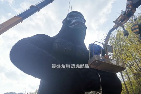 定做的大型金刚模型