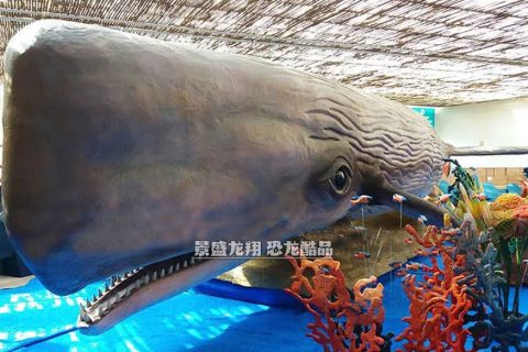 大型海洋动物模型