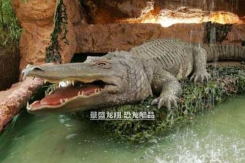 仿制鳄鱼模型