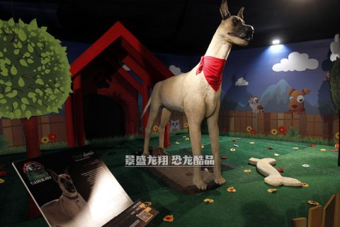 美陈动物模型