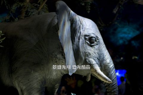 仿真动物模型