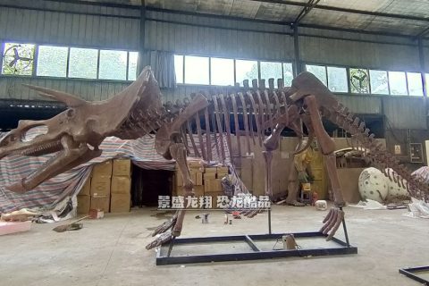 手工玻璃钢三角龙骨骼展品