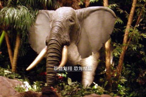 雨林餐吧里的大象模型
