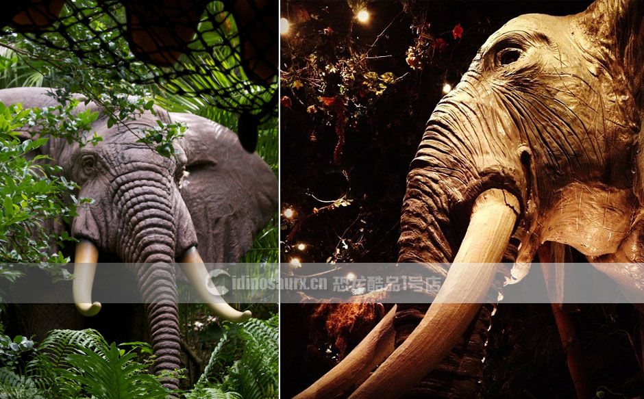 雨林餐吧里的大象模型
