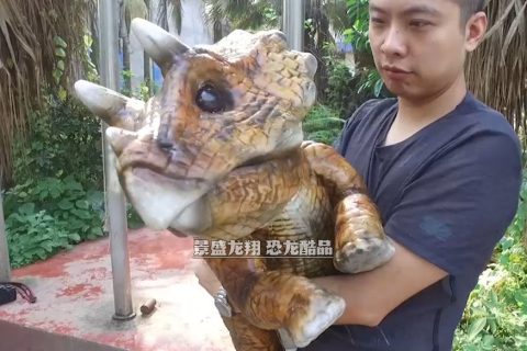 幼年三角龙手偶产品