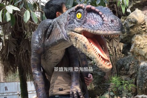 肩扛迅猛龙手偶产品