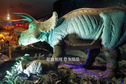 三角龙家族模型