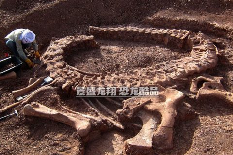 恐龙骨架挖掘现场场景