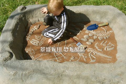 家庭版恐龙骨架挖掘现场