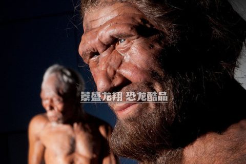 史前人类模型