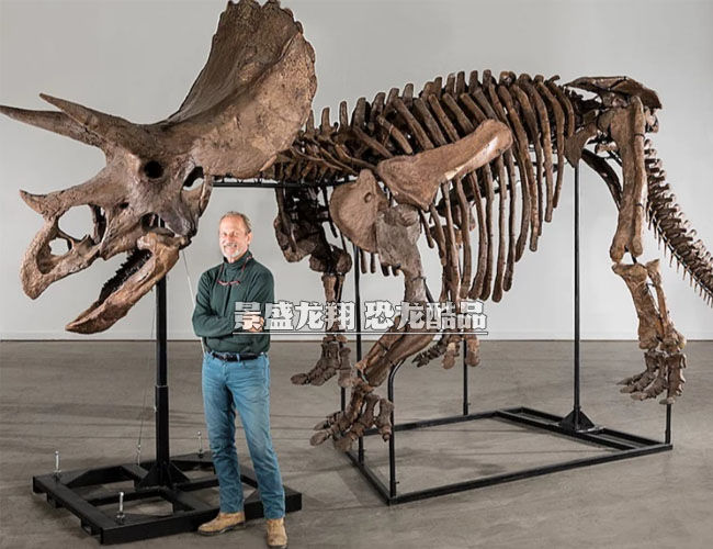 恐龙化石骨架复制品(三角龙)