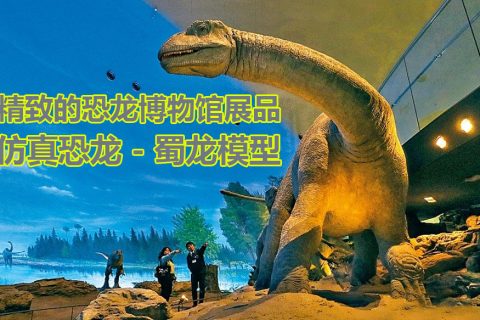 恐龙博物馆展品