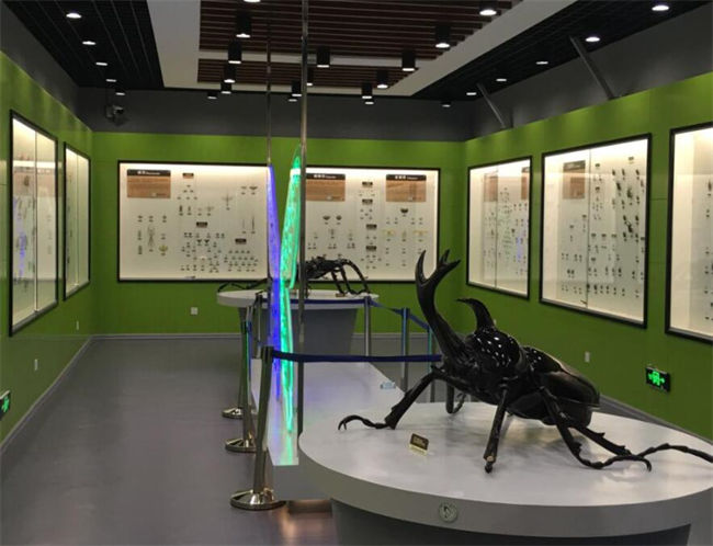 台北昆虫科学博物馆