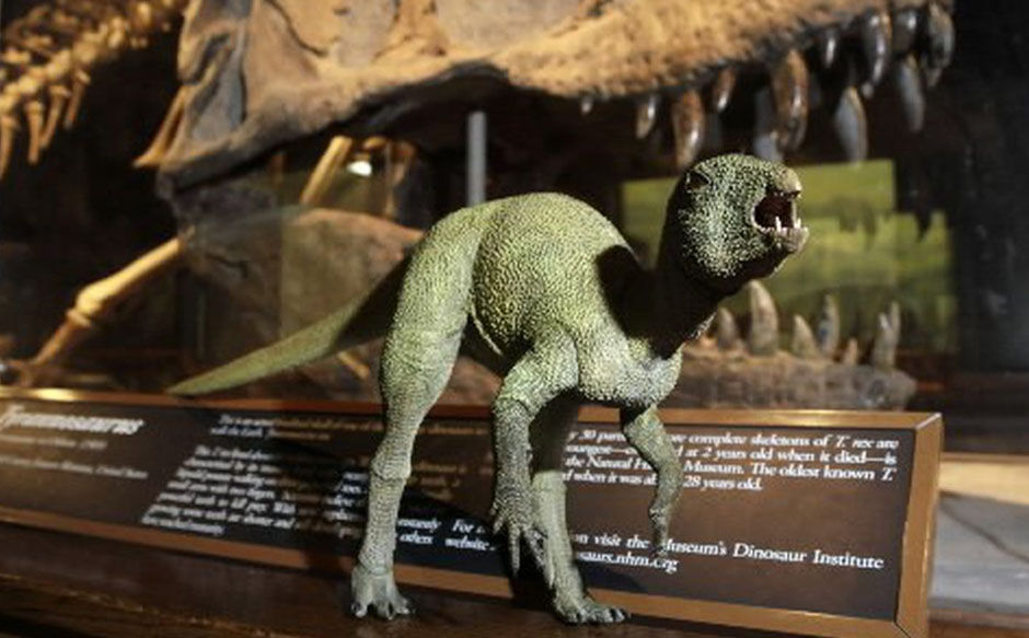 小型恐龙标本模型