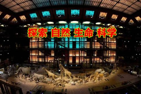 自然博物馆