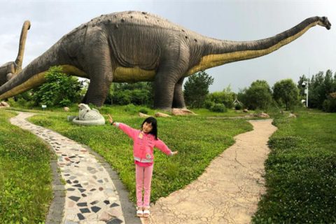 超大型梁龙模型