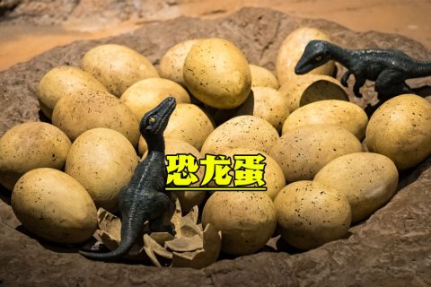 恐龙蛋装饰品