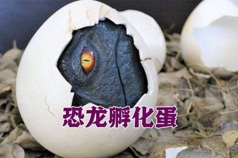 恐龙孵化蛋模型