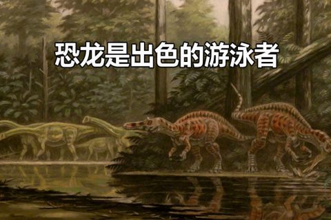 恐龙是出色的游泳者