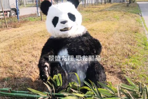 可爱的熊猫装