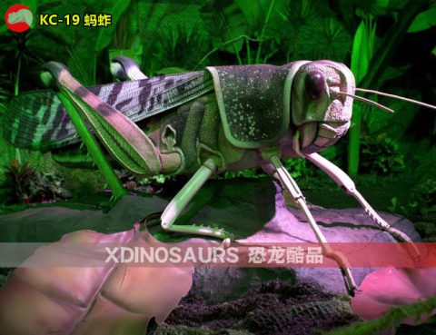 仿真蚂蚱模型