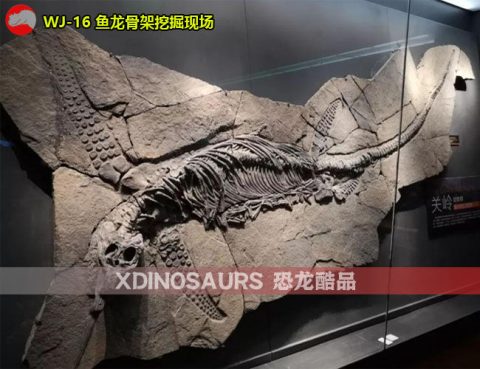 鱼龙化石挖掘现场景观
