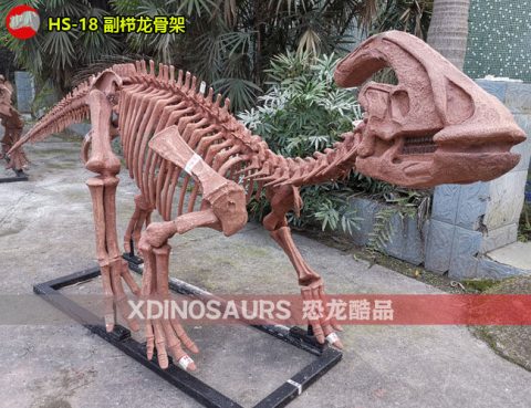 高仿的副栉龙骨架展品