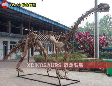 仿真蜀龙化石展品