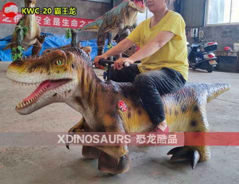 霸王龙电瓶车产品