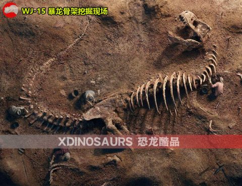 仿真大型暴龙骨架挖掘现场