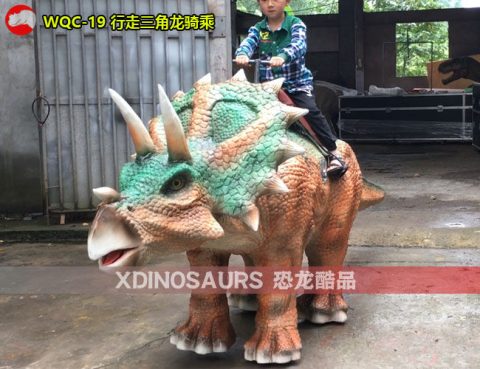 骑行三角龙设施