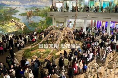 人气恐龙博物馆