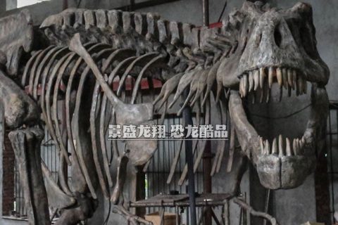 仿真恐龙骨架的制作
