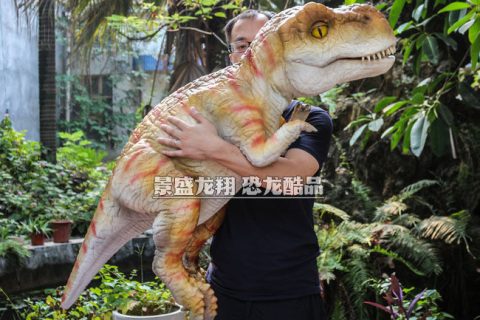人抱的霸王龙玩偶