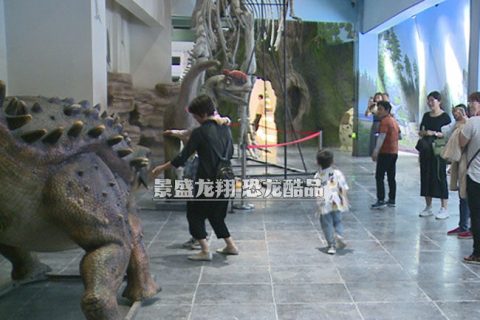 仿真甲龙和双冠龙在青州侏罗纪体验馆