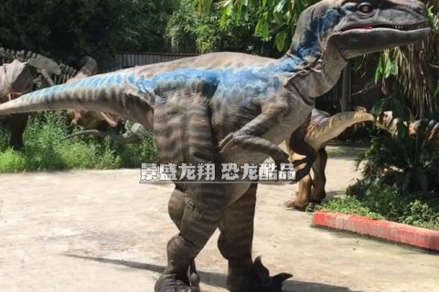 布缝制的恐龙衣服