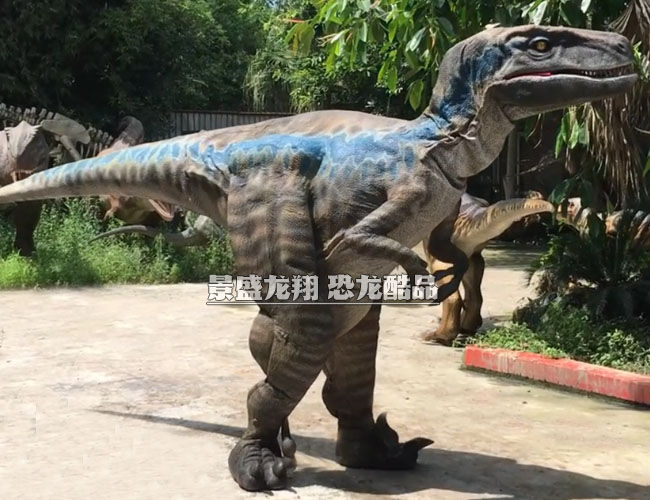 恐龙主题真人秀道具