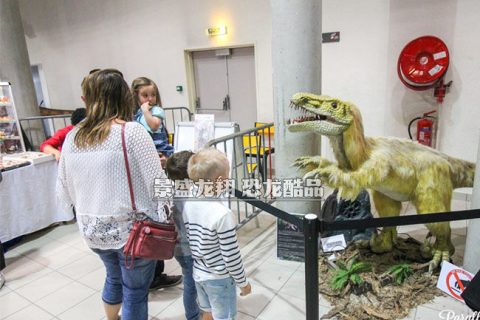 仿真恐龙展(带毛迅猛龙模型) - 法国CUZCO展览公司