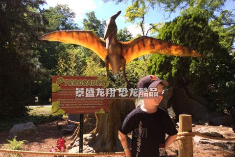 仿真翼龙模型在美国仙境乐园