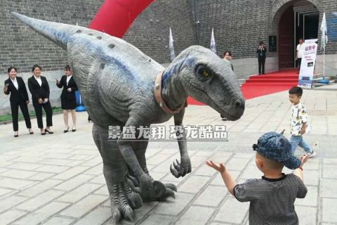 仿真迅猛龙皮套在青州侏罗纪体验馆