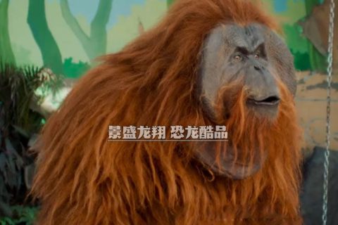 红毛大猩猩表演服