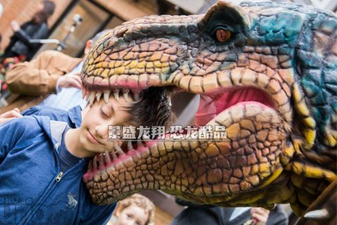 互动的霸王龙服